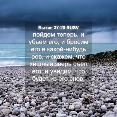 Picture 04 - Бытие 37:20 RUSV - пойдем теперь, и убьем его, - Bible Verse Picture
