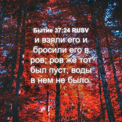 Picture 04 - Бытие 37:24 RUSV - и взяли его и бросили его в - Bible Verse Picture