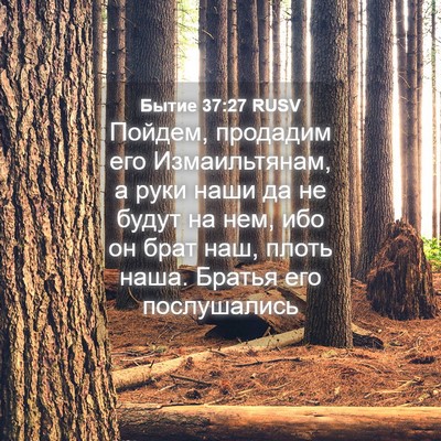 Picture 04 - Бытие 37:27 RUSV - Пойдем, продадим его - Bible Verse Picture