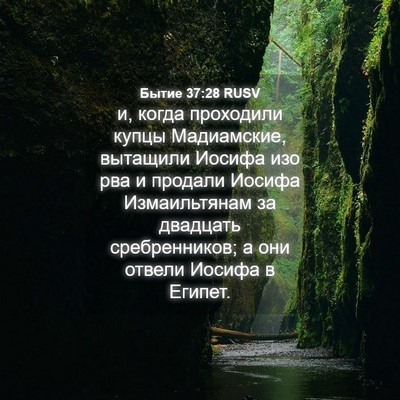 Picture 04 - Бытие 37:28 RUSV - и, когда проходили купцы - Bible Verse Picture