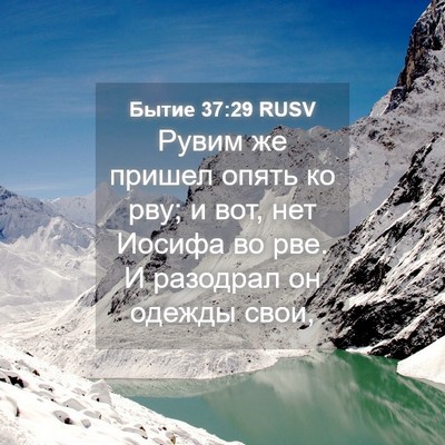 Picture 04 - Бытие 37:29 RUSV - Рувим же пришел опять ко - Bible Verse Picture