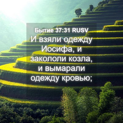 Picture 04 - Бытие 37:31 RUSV - И взяли одежду Иосифа, и - Bible Verse Picture