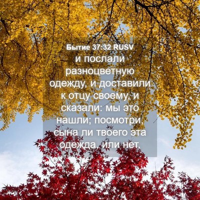Picture 04 - Бытие 37:32 RUSV - и послали разноцветную - Bible Verse Picture