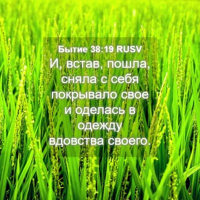 Picture 04 - Бытие 38:19 RUSV - И, встав, пошла, сняла с - Bible Verse Picture