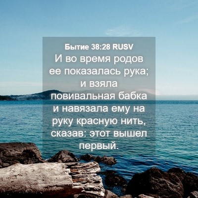 Picture 04 - Бытие 38:28 RUSV - И во время родов ее - Bible Verse Picture