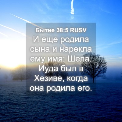 Picture 04 - Бытие 38:5 RUSV - И еще родила сына и нарекла - Bible Verse Picture