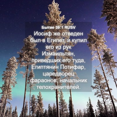 Picture 04 - Бытие 39:1 RUSV - Иосиф же отведен был в - Bible Verse Picture