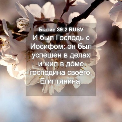 Picture 04 - Бытие 39:2 RUSV - И был Господь с Иосифом: он - Bible Verse Picture