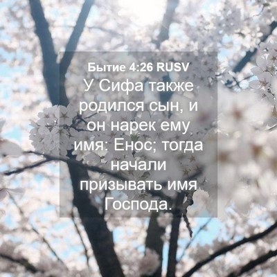 Picture 04 - Бытие 4:26 RUSV - У Сифа также родился сын, и - Bible Verse Picture