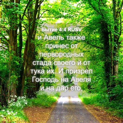 Picture 04 - Бытие 4:4 RUSV - и Авель также принес от - Bible Verse Picture