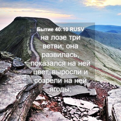 Picture 04 - Бытие 40:10 RUSV - на лозе три ветви; она - Bible Verse Picture