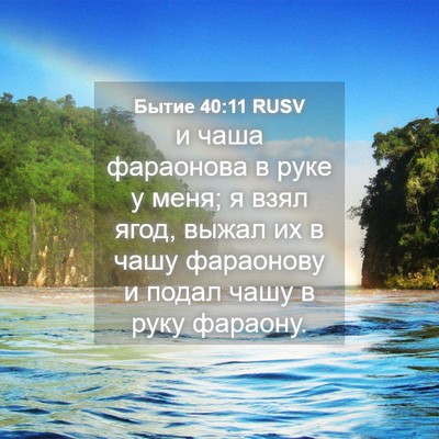Picture 04 - Бытие 40:11 RUSV - и чаша фараонова в руке у - Bible Verse Picture