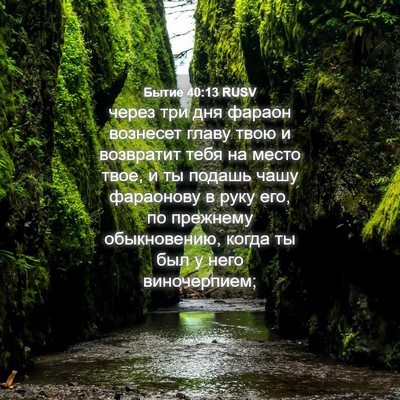 Picture 04 - Бытие 40:13 RUSV - через три дня фараон - Bible Verse Picture