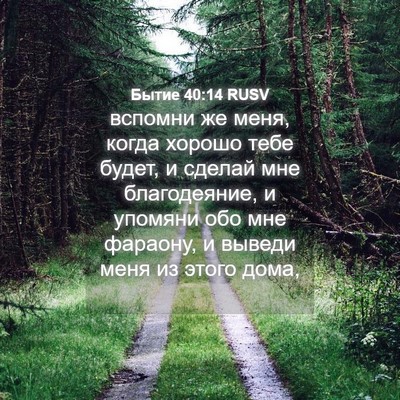 Picture 04 - Бытие 40:14 RUSV - вспомни же меня, когда - Bible Verse Picture