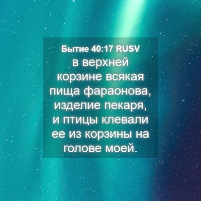 Picture 04 - Бытие 40:17 RUSV - в верхней корзине всякая - Bible Verse Picture