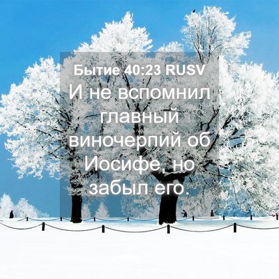 Picture 04 - Бытие 40:23 RUSV - И не вспомнил главный - Bible Verse Picture