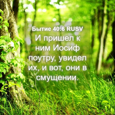 Picture 04 - Бытие 40:6 RUSV - И пришел к ним Иосиф - Bible Verse Picture