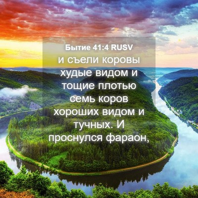 Picture 04 - Бытие 41:4 RUSV - и съели коровы худые видом - Bible Verse Picture