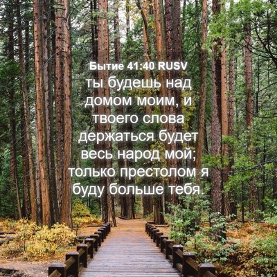 Picture 04 - Бытие 41:40 RUSV - ты будешь над домом моим, и - Bible Verse Picture