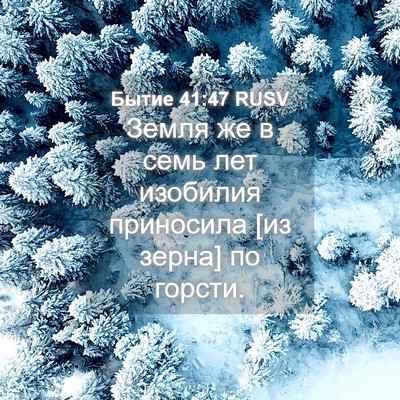 Picture 04 - Бытие 41:47 RUSV - Земля же в семь лет - Bible Verse Picture