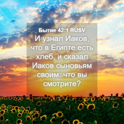 Picture 04 - Бытие 42:1 RUSV - И узнал Иаков, что в Египте - Bible Verse Picture