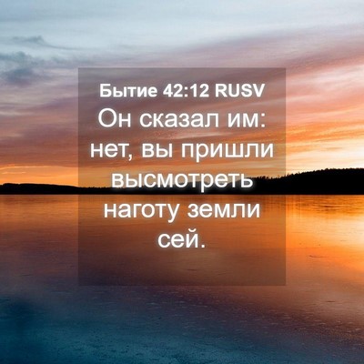 Picture 04 - Бытие 42:12 RUSV - Он сказал им: нет, вы пришли - Bible Verse Picture