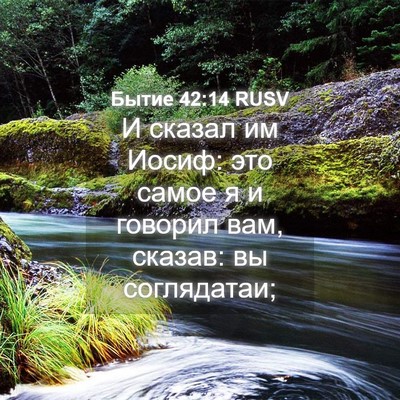 Picture 04 - Бытие 42:14 RUSV - И сказал им Иосиф: это - Bible Verse Picture