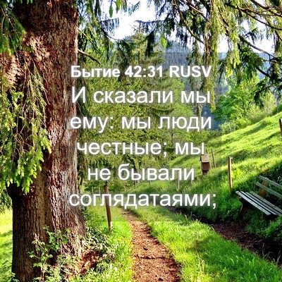 Picture 04 - Бытие 42:31 RUSV - И сказали мы ему: мы люди - Bible Verse Picture