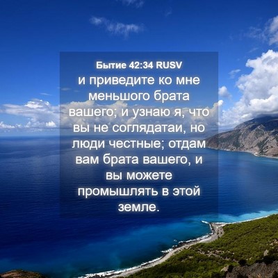 Picture 04 - Бытие 42:34 RUSV - и приведите ко мне - Bible Verse Picture