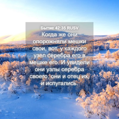 Picture 04 - Бытие 42:35 RUSV - Когда же они опорожняли - Bible Verse Picture