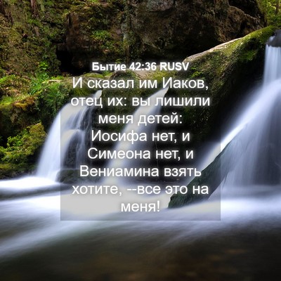 Picture 04 - Бытие 42:36 RUSV - И сказал им Иаков, отец их: - Bible Verse Picture