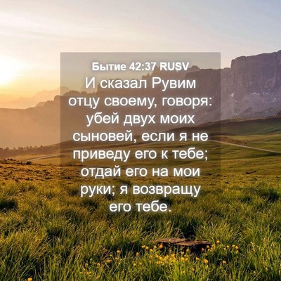 Picture 04 - Бытие 42:37 RUSV - И сказал Рувим отцу своему, - Bible Verse Picture