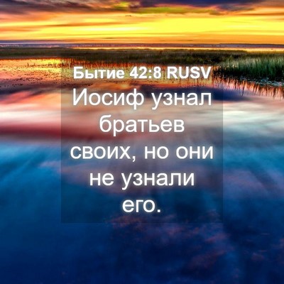 Picture 04 - Бытие 42:8 RUSV - Иосиф узнал братьев своих, - Bible Verse Picture
