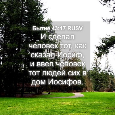 Picture 04 - Бытие 43:17 RUSV - И сделал человек тот, как - Bible Verse Picture