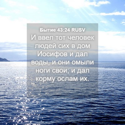 Picture 04 - Бытие 43:24 RUSV - И ввел тот человек людей - Bible Verse Picture