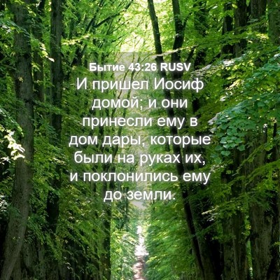 Picture 04 - Бытие 43:26 RUSV - И пришел Иосиф домой; и они - Bible Verse Picture