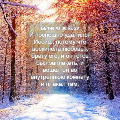 Picture 04 - Бытие 43:30 RUSV - И поспешно удалился Иосиф, - Bible Verse Picture