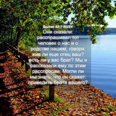 Picture 04 - Бытие 43:7 RUSV - Они сказали: расспрашивал - Bible Verse Picture