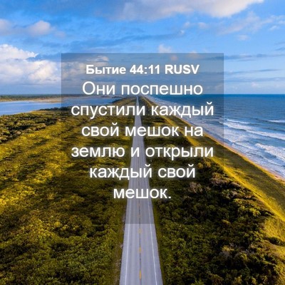 Picture 04 - Бытие 44:11 RUSV - Они поспешно спустили - Bible Verse Picture