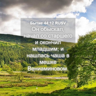 Picture 04 - Бытие 44:12 RUSV - Он обыскал, начал со - Bible Verse Picture