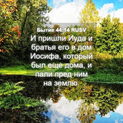 Picture 04 - Бытие 44:14 RUSV - И пришли Иуда и братья его - Bible Verse Picture