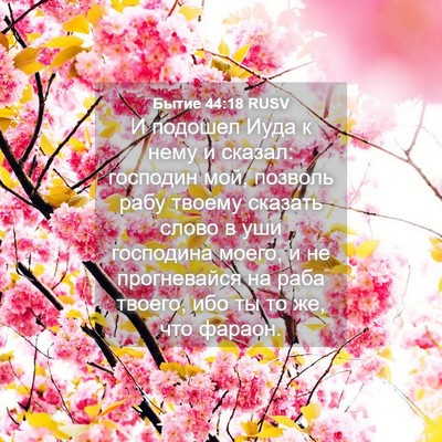Picture 04 - Бытие 44:18 RUSV - И подошел Иуда к нему и - Bible Verse Picture