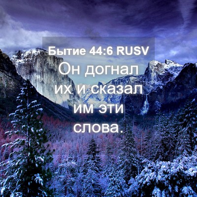 Picture 04 - Бытие 44:6 RUSV - Он догнал их и сказал им - Bible Verse Picture