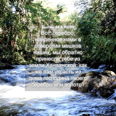Picture 04 - Бытие 44:8 RUSV - Вот, серебро, найденное - Bible Verse Picture