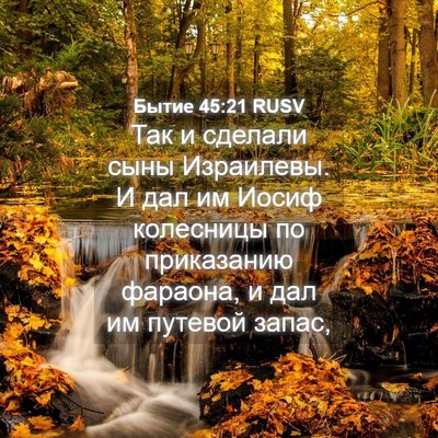 Picture 04 - Бытие 45:21 RUSV - Так и сделали сыны - Bible Verse Picture