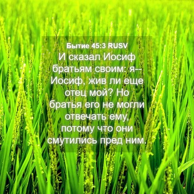 Picture 04 - Бытие 45:3 RUSV - И сказал Иосиф братьям - Bible Verse Picture