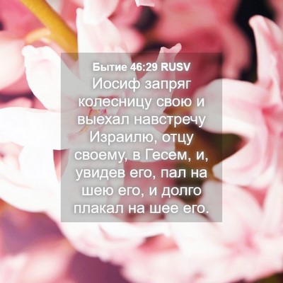 Picture 04 - Бытие 46:29 RUSV - Иосиф запряг колесницу - Bible Verse Picture