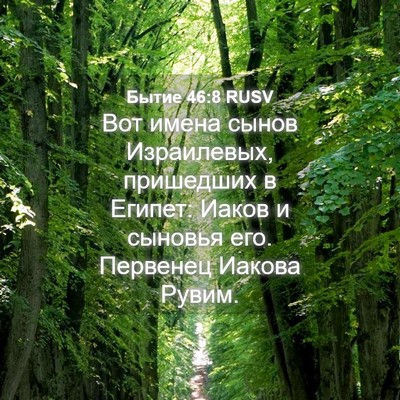 Picture 04 - Бытие 46:8 RUSV - Вот имена сынов - Bible Verse Picture