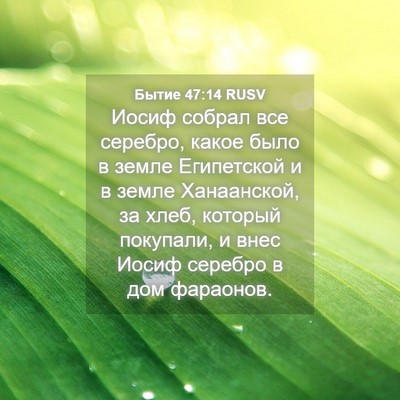 Picture 04 - Бытие 47:14 RUSV - Иосиф собрал все серебро, - Bible Verse Picture