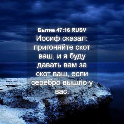 Picture 04 - Бытие 47:16 RUSV - Иосиф сказал: пригоняйте - Bible Verse Picture